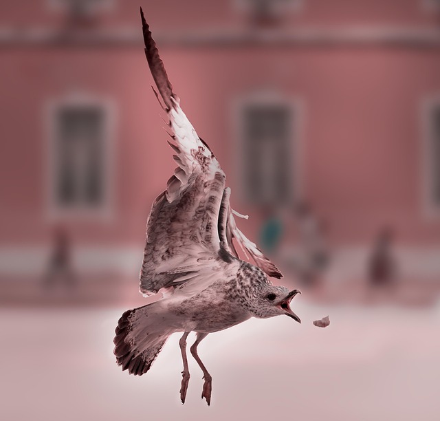 新人试用期工作总结