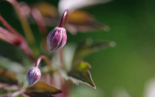 初中军训口号-春林公文网