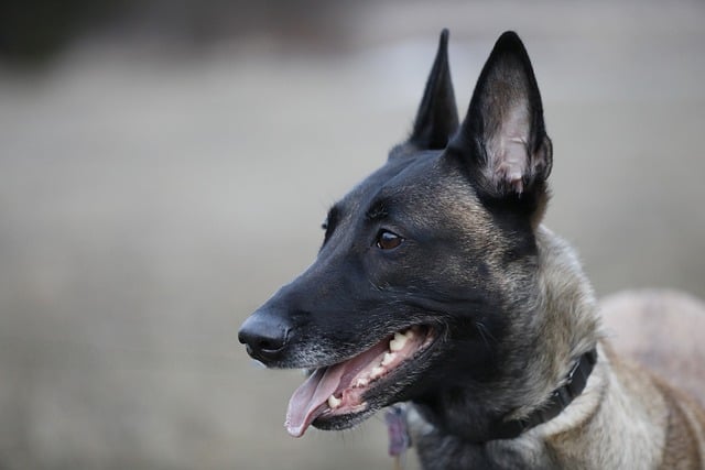 职场礼仪开会时请谨慎选好座位