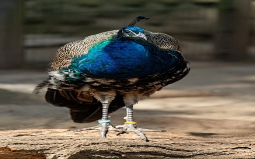 工程技术人员的工作总结-春林公文网