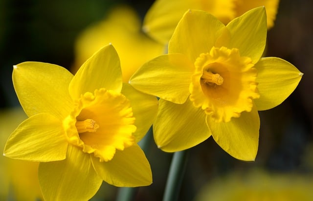 大学生入党积极分子思想汇报2018年10月