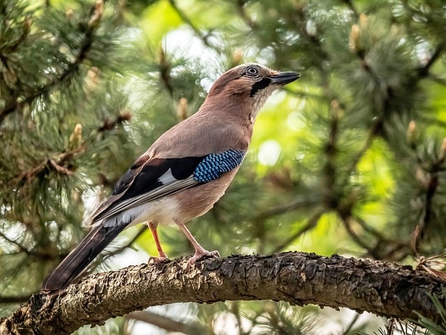 工程资料员实习生周记
