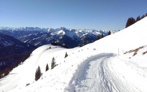 世界禁烟日标语-春林公文网