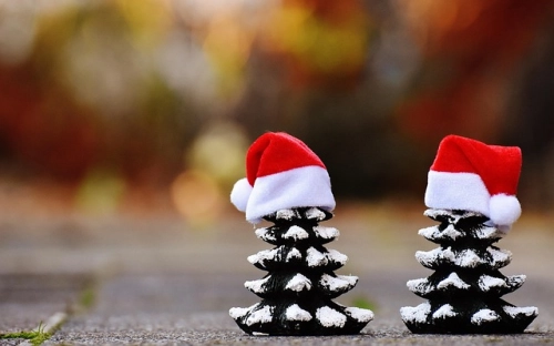 圣诞晚会策划方案2-春林公文网