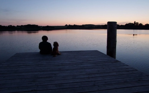 中级人民法院上半年工作总结-春林公文网