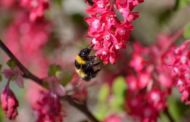 HR个人年终工作总结