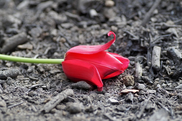 盘点关于学校防火有哪些安全宣传标语