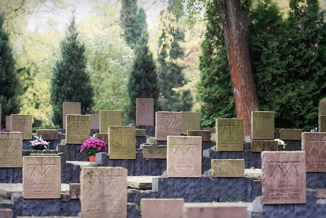 优秀警察入党思想汇报范文