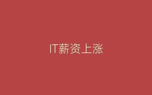IT薪资上涨-春林公文网