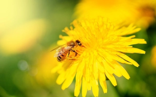 关于冬至的谚语大全精选-春林公文网