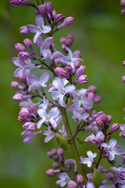 镇庆教师节主持词范文