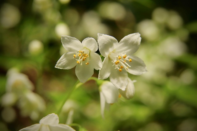 五一劳动节活动上的讲话
