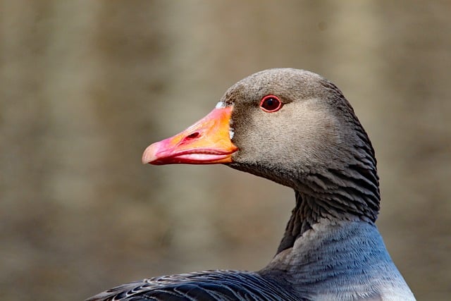 2021学党史组织生活会发言材料范文精选5篇