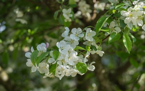 县经济贸易局节能宣传活动总结-春林公文网