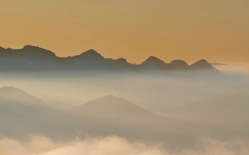 清明节新闻稿-春林公文网