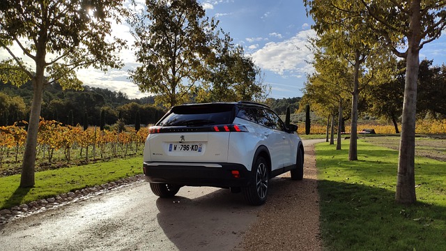 “财政监督总结与计划”财政工作计划