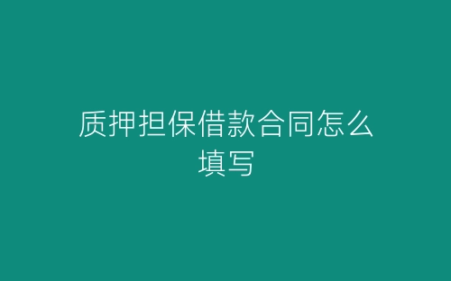 质押担保借款合同怎么填写-春林公文网
