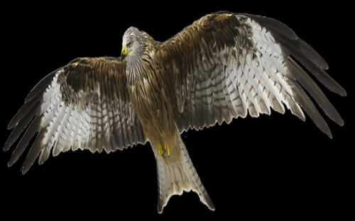 邮政员工五四青年节演讲稿-春林公文网