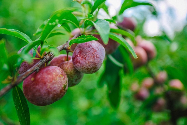 广西差旅费报销标准
