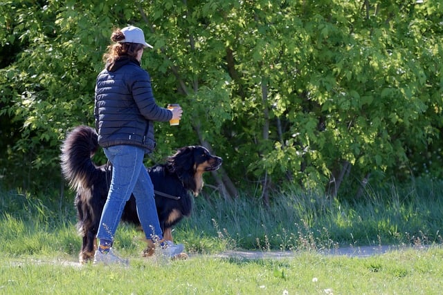 2021教师党史学习教育专题组织生活会个人对照检查材料