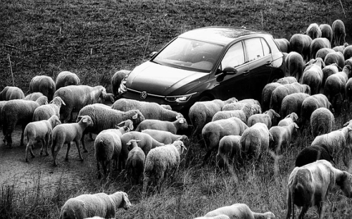 2022纪律作风方面存在的问题及整改措施-春林公文网