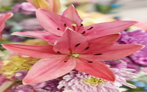 年度党委工作总结-春林公文网