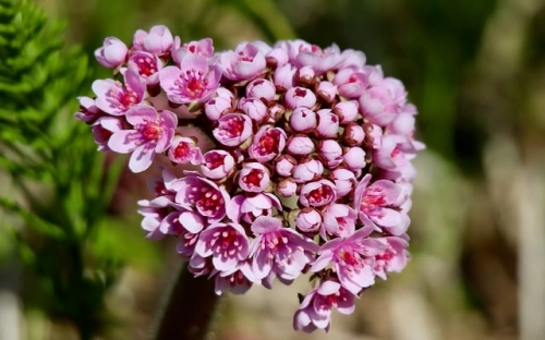 礼仪文书：唁电的分类-春林公文网