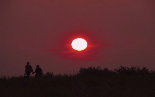 商场情人节活动策划方案-春林公文网