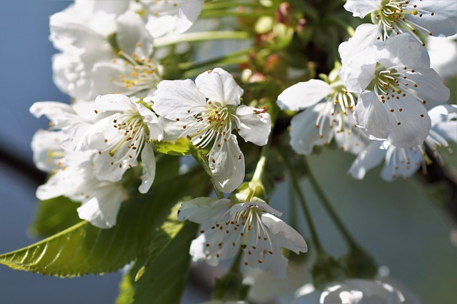 五一劳动节的来历