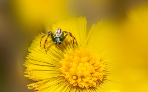 2021年国有企业退休人员组织关系移交工作情况汇报-春林公文网