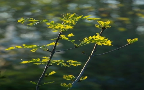 国培学习自我总结-春林公文网