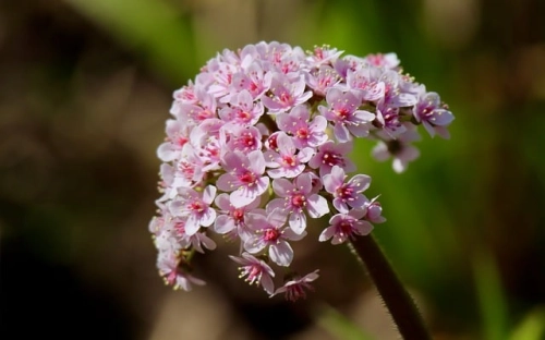 班级学生个人考评细则-春林公文网