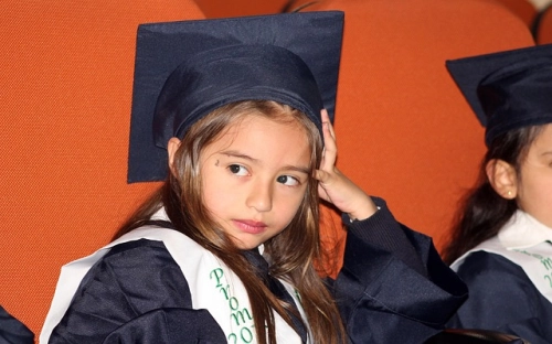 应届毕业生个人专业技术总结范文-春林公文网