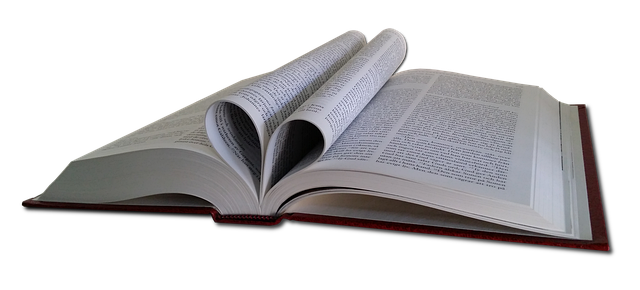 最新年夜饭主持词范文