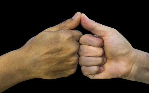 落实党员承诺制公开承诺书-春林公文网