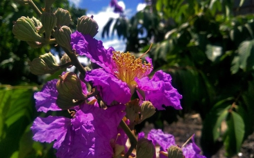 详解申请入党的人为何要写入党申请书-春林公文网