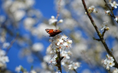 关于开展遵守劳动合同法情况专项检查活动的工作总结-春林公文网
