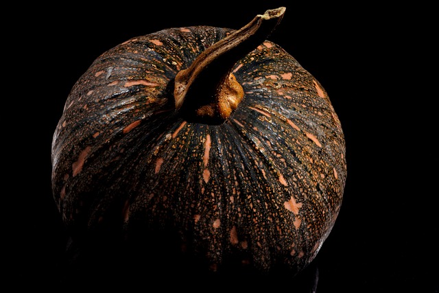 英语感恩节寄语