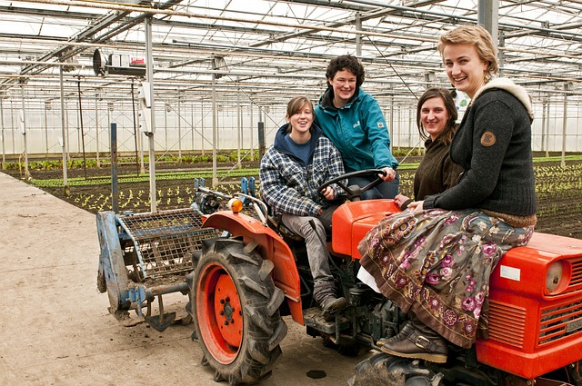 公务员招考工作安排