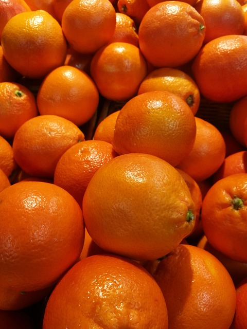 预备党员考察情况报告