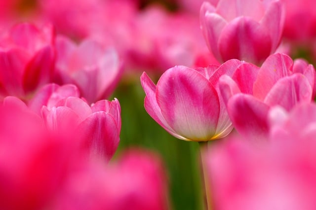 同学祝福短信问候