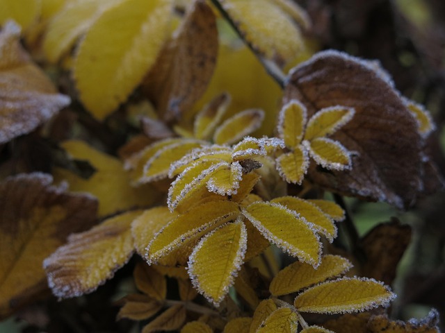 素质拓展团日活动总结
