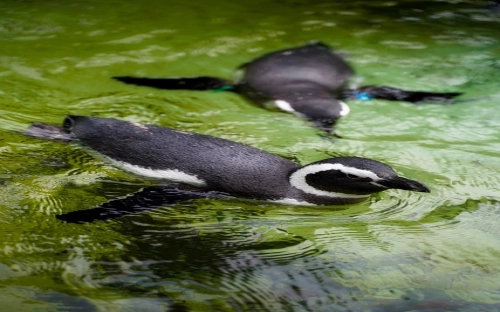 国土资源局第48个世界地球日活动总结-春林公文网