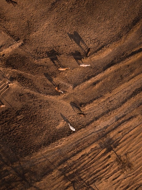 农村副业经营承包合同