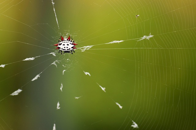 关于初中语文教学情况的调查报告