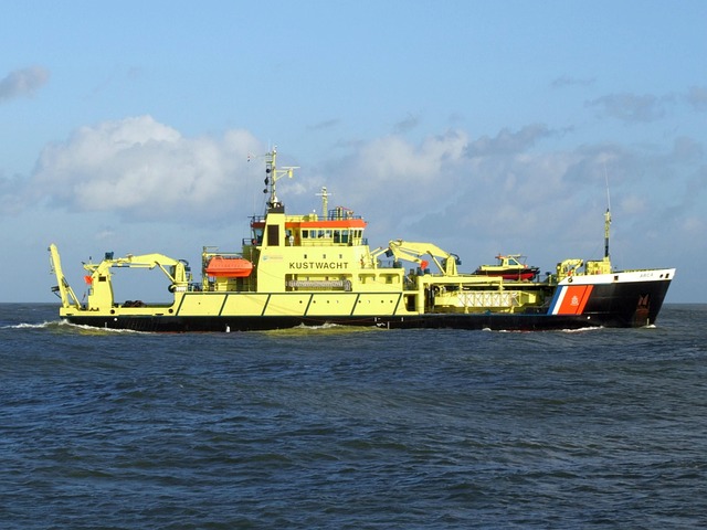 大学生社会调查报告怎么写