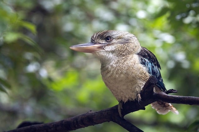 工程资料员实习生周记