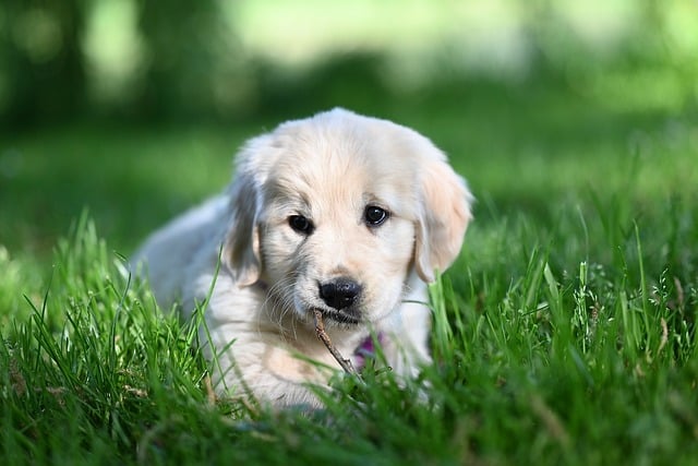 浙江省国有土地上房屋征收与补偿条例