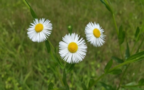 德育先进个人申报材料-春林公文网