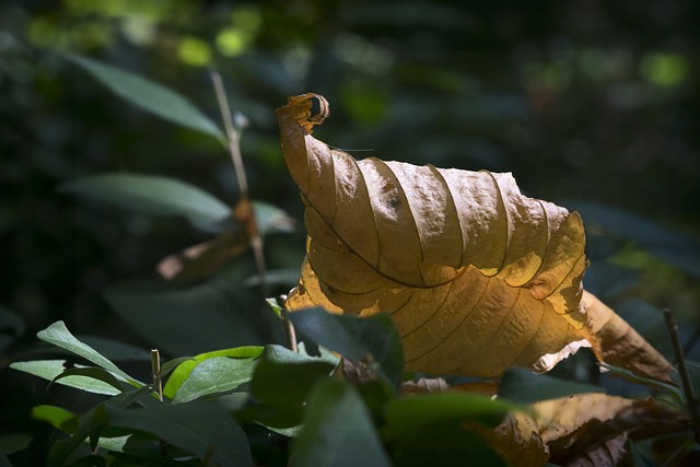 中学第七周学校工作计划
